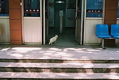 克苏鲁风恋爱模拟 《爱的吸盘：第一次约会》追加官方中文更新